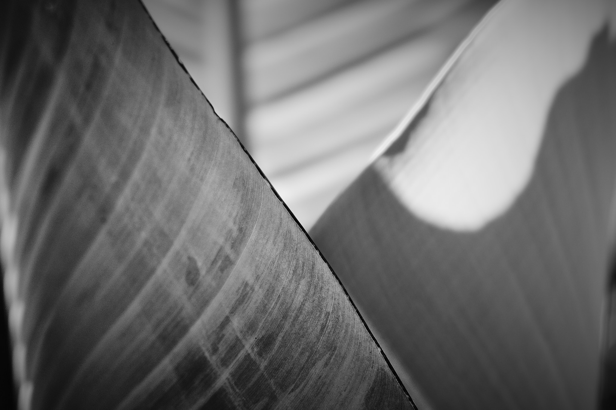 2026_06_22_04_Randolf
