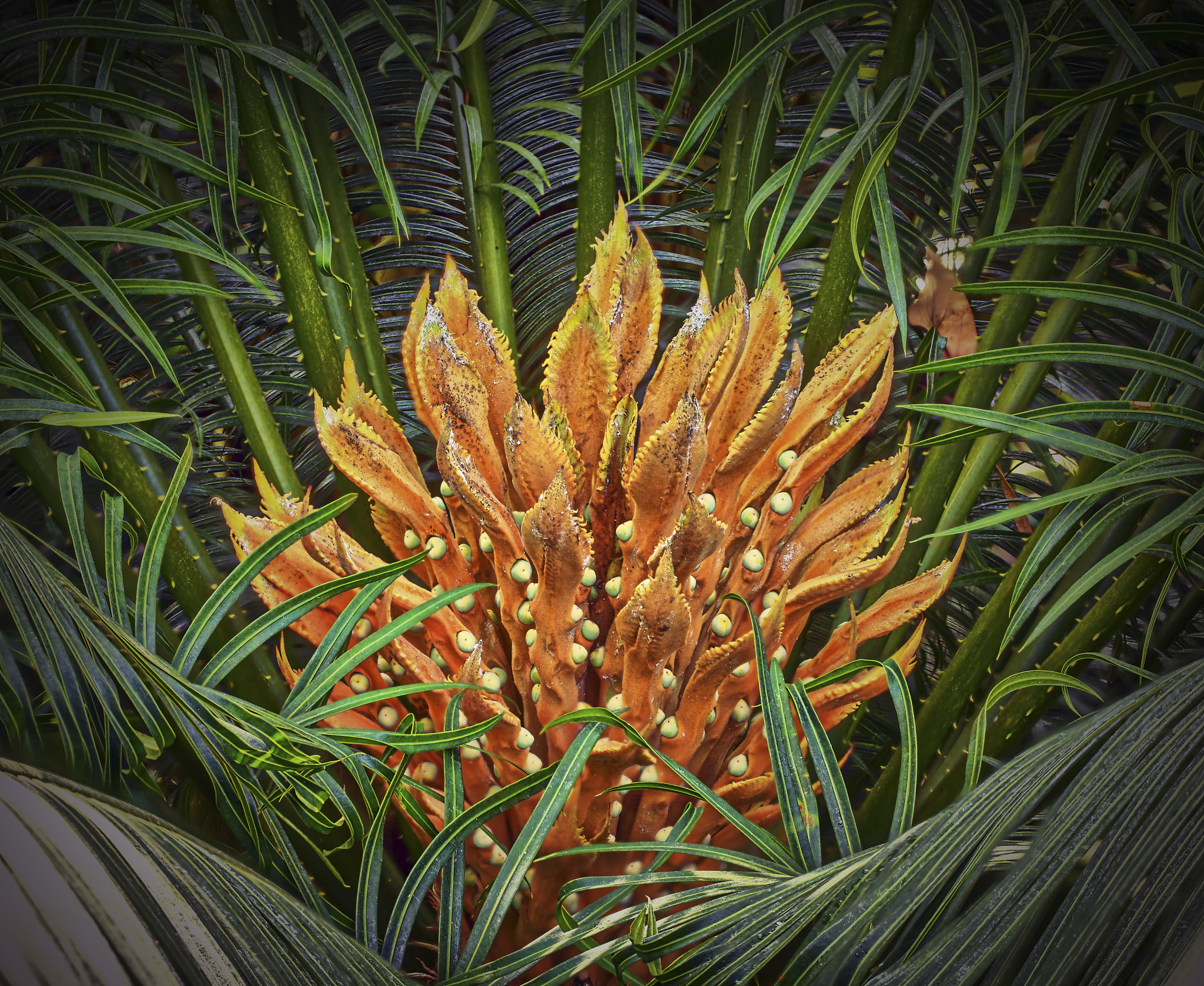 2026_06_22_05_Helmut