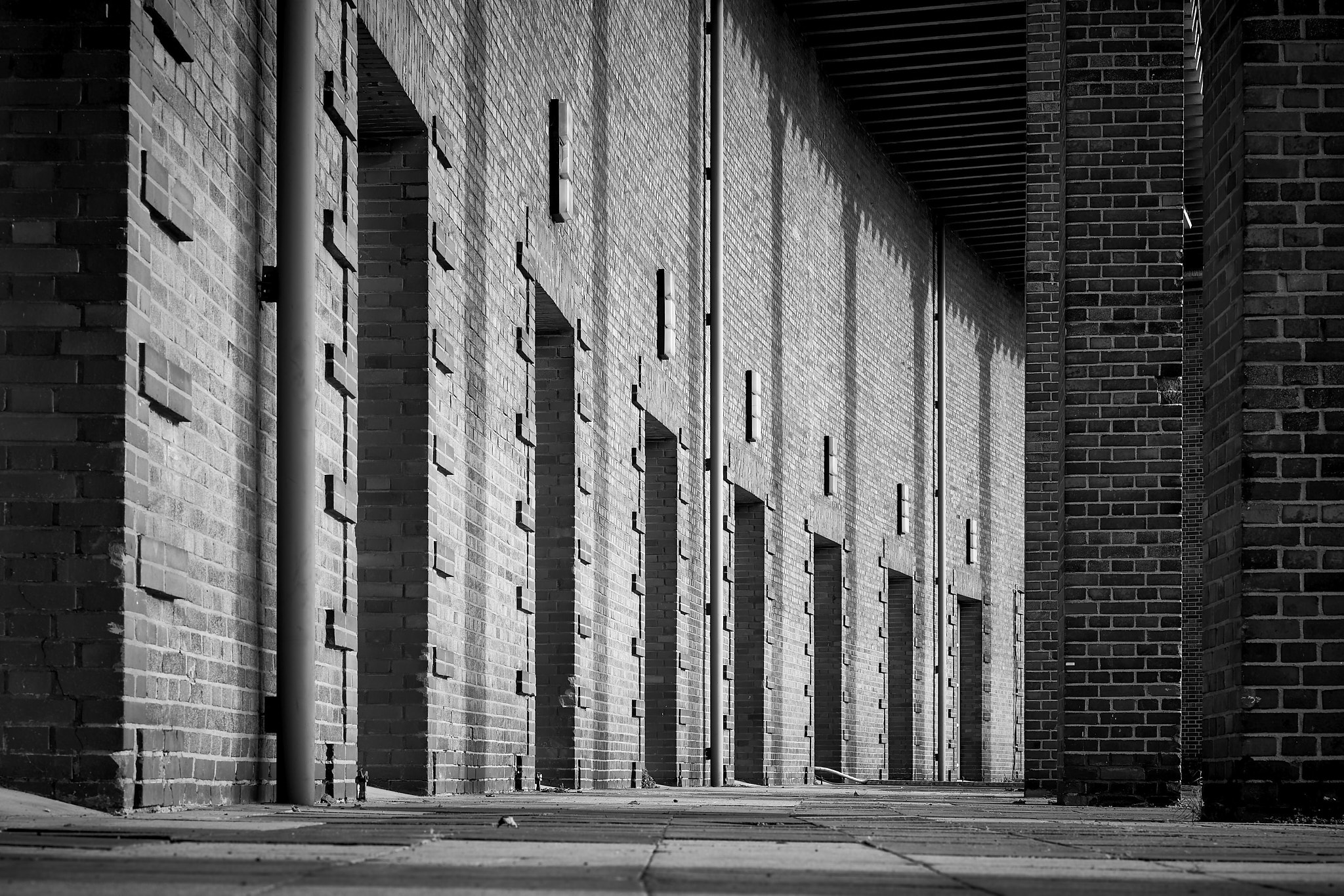 2026_03_06_02_Randolf